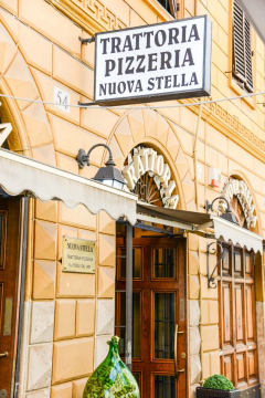 Nuova-Stella-24